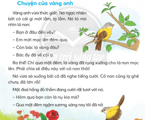  Chuyện của vàng anh