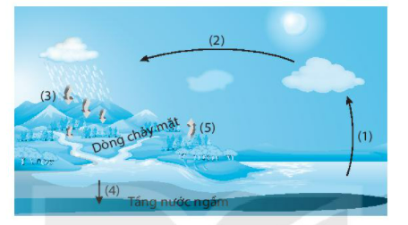 [KNTT] Giải SBT lịch sử và địa lí 6 bài: Thủy quyển và vòng tuần hoàn lớn của nước