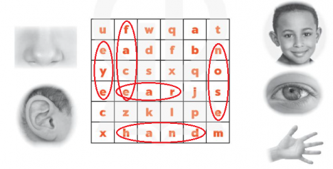 Find and circle five words answer key