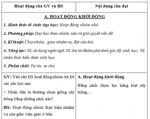 Giáo án VNEN bài: Gây đột biến nhân tạo trong chọn giống và các phương pháp chọn lọc (T2)