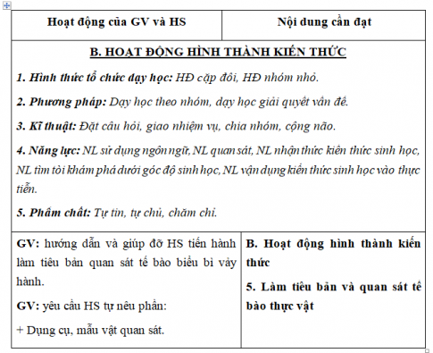 Giáo án VNEN bài Tế bào - Đơn vị cơ bản của sự sống (T3)