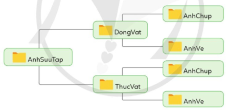 Em hãy tạo cây thư mục để lưu ảnh sưu tập theo chủ đề như Hình 1