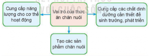 Quan sát Hình 7.1 và cho biết vai trò của thức ăn chăn nuôi