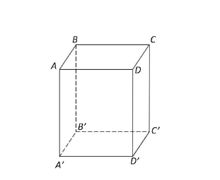 a) Vẽ hình biểu diễn của một hình hộp chữ nhật