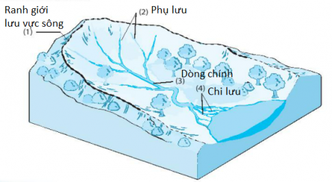 [KNTT] Giải SBT lịch sử và địa lí 6 bài: Sông và hồ. Nước ngầm và băng hà