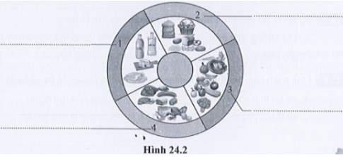  Em hãy điền tên bốn nhóm chất dinh dưỡng chính có trong hình 24.2. Cho biết vai trò của các chất dinh dưỡng đối với cơ thể sinh vật.