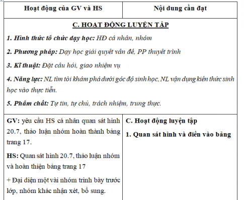 Giáo án VNEN bài Động vật có xương sống (T3)