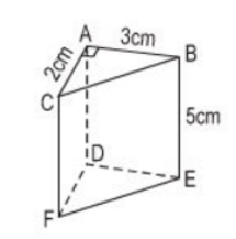 Trắc nghiệm Toán 7 cánh diều bài 2 Hình lăng trụ đứng tam giác, hình lăng trụ đứng tứ giác (P2)