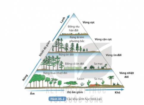 Câu 3: Hãy nêu các khu sinh học trong khu sinh học trên cạn và cho biết việc hình thành các khu sinh học trên cạn khác nhau do những yếu tố nào quyết định?