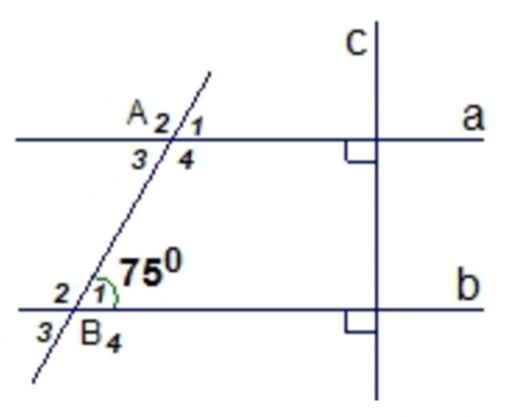 Trắc nghiệm Toán 7 kết nối bài 10 Tiên đề Euclid, tính chất của hai đường thẳng song song (P2)