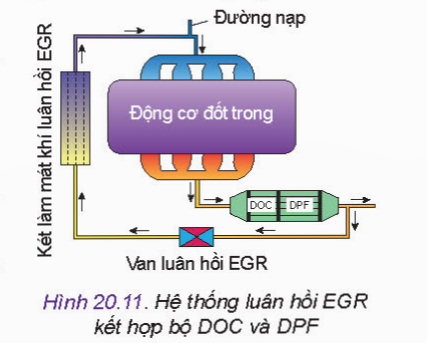 Quan sát Hình 20.11 em hãy cho biết nhiệm vụ của van luân hồi EGR trong hệ thống luân hồi khí thải EGR.