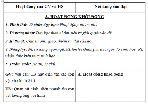 Giáo án VNEN bài Quan hệ giữa động vật và con người (T1)