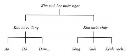 Câu 4: Vẽ sơ đồ các khu sinh học nước ngọt.