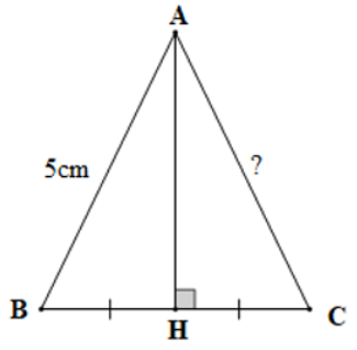 Trắc nghiệm Toán 7 cánh diều bài 5 Trường hợp bằng nhau thứ hai của tam giác cạnh - góc - cạnh