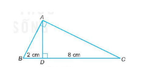 Cho tam giác ABC vuông tại đỉnh A. Gọi AD là đường cao của tam giác. Biết rằng BD = 2 cm, CD = 8 cm. Hãy tính độ dài các cạnh AB, AC và chiều cao AD của tam giác ABC.