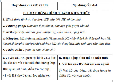 Giáo án VNEN bài Quan hệ giữa động vật và con người (T2)