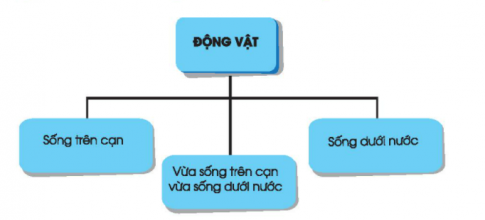 [Chân trời sáng tạo] Soạn tự nhiên và xã hội 2 bài 15: Động vật sống ở đâu?