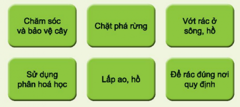  Cần làm gì để bảo vệ môi trường sống của thực vật và động vật?