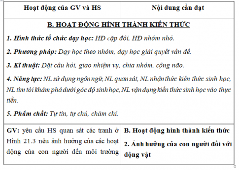 Giáo án VNEN bài Quan hệ giữa động vật và con người (T3)