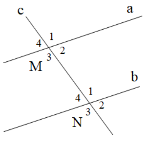 Trắc nghiệm Toán 7 kết nối bài 10 Tiên đề Euclid, tính chất của hai đường thẳng song song (P2)