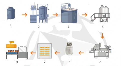 Trắc nghiệm Công nghệ chăn nuôi 11 cánh diều bài Ôn tập Chủ đề 5 Công nghệ chăn nuôi