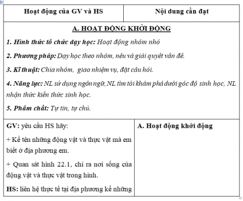 Giáo án VNEN bài Đa dạng sinh học (T1)