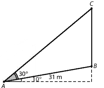 Một cây cổ thụ mọc thẳng đứng bên lề một con dốc có độ dốc