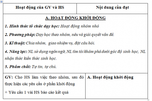 Giáo án VNEN bài Các loại tế bào (T1)