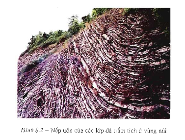 Em hãy nêu vai trò của quá trình nội sinh và ngoại sinh trong việc hình thành địa hình bề mặt Trái Đất