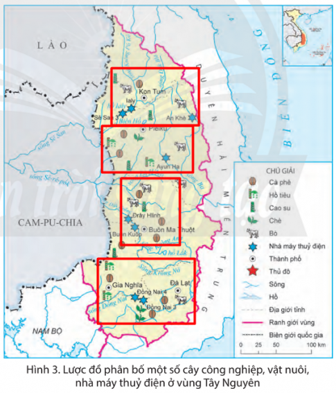 Dựa vào hình 3, em hãy xác định trên lược đồ nơi trồng cây cà phê, cao su, chè và nuôi bò ở vùng Tây Nguyên