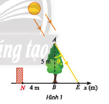 Bài tập 14 trang 43 Toán 11 tập 1 Chân trời