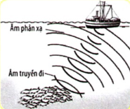 Dạng bài tập phản xạ âm