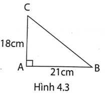 Giải phát triển năng lực toán 9 bài 4: Một số hệ thức về cạnh và góc trong tam giác vuông