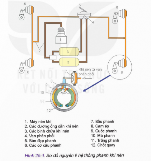  Má phanh ép vào trống phanh dưới tác dụng của lực nào?