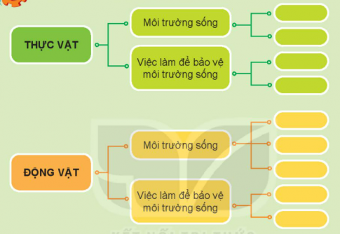  Ôn tập chủ đề thực vật và động vật