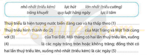 [KNTT] Giải SBT lịch sử và địa lí 6 bài: Biển và đại dương