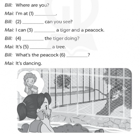 Look, complete and read