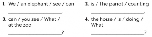 Make sentences