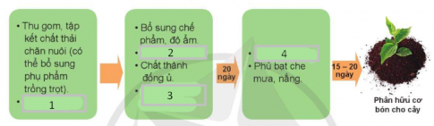 Trắc nghiệm Công nghệ chăn nuôi 11 cánh diều bài Ôn tập Chủ đề 6 Bảo vệ môi trường trong chăn nuôi