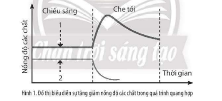 Để biểu diễn sự tăng giảm nồng độ các chất trong quá trình quang hợp ở thực vật khi được chiếu sáng và khi bị che tối ...