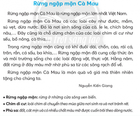 [Chân trời sáng tạo] Giải tiếng việt 2 bài 2: Rừng ngập mặn Cà Mau