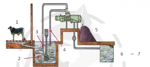 Trắc nghiệm Công nghệ chăn nuôi 11 cánh diều bài Ôn tập Chủ đề 6 Bảo vệ môi trường trong chăn nuôi