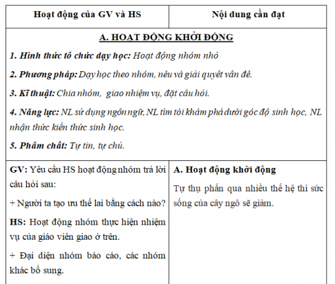 Giáo án VNEN bài: Lai giống vật nuôi, cây trồng (T3)