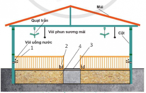 Trắc nghiệm Công nghệ chăn nuôi 11 cánh diều bài Ôn tập Chủ đề 6 Bảo vệ môi trường trong chăn nuôi