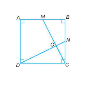 Cho hình vuông ABCD và M, N lần lượt là trung điểm của AB, BC. 