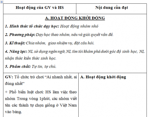 Giáo án VNEN bài: Ôn tập chủ đề 13 