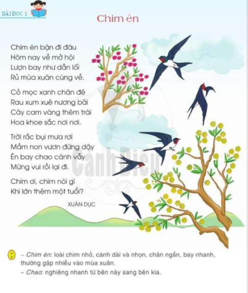  Thế giới loài chim