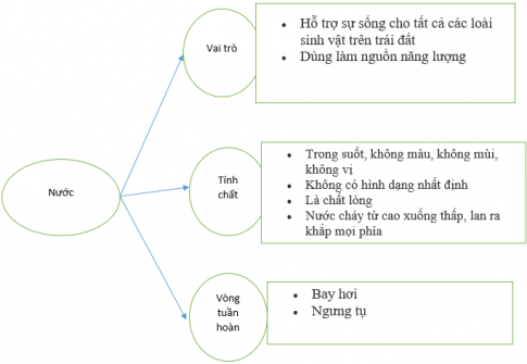 Trong suốt, không màu, không mùi, không vị Không có hình dạng nhất định Là chất lỏng Nước chảy từ cao xuống thấp, lan ra khắp mọi phía Hòa tan được một số chất