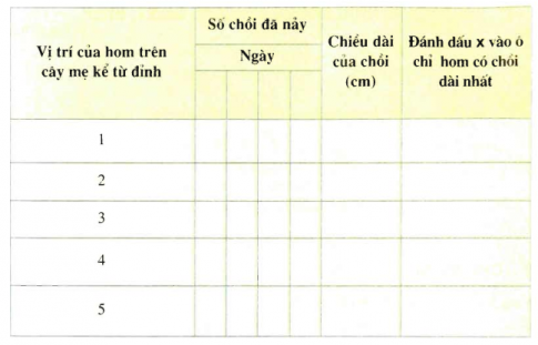 Giải sinh 11 bài 43: Thực hành nhân giống vô tính ở thực vật bằng giâm, chiết, ghép