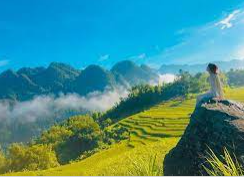 Hưởng ứng hoạt động sưu tầm tranh ảnh về cảnh quan thiên nhiên quê hương.